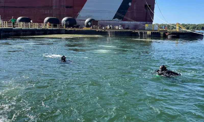Diver In Ice Water